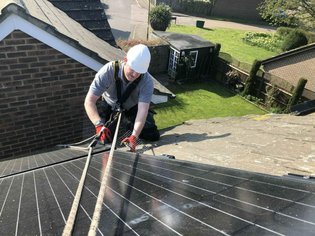 pigeon solar panel proofing