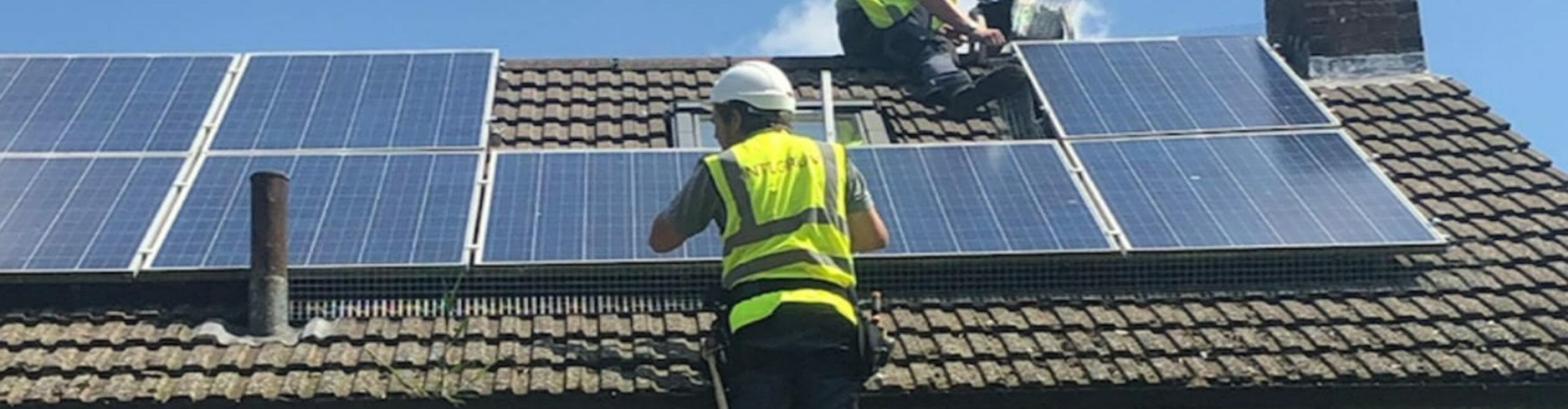 pigeons under solar panels