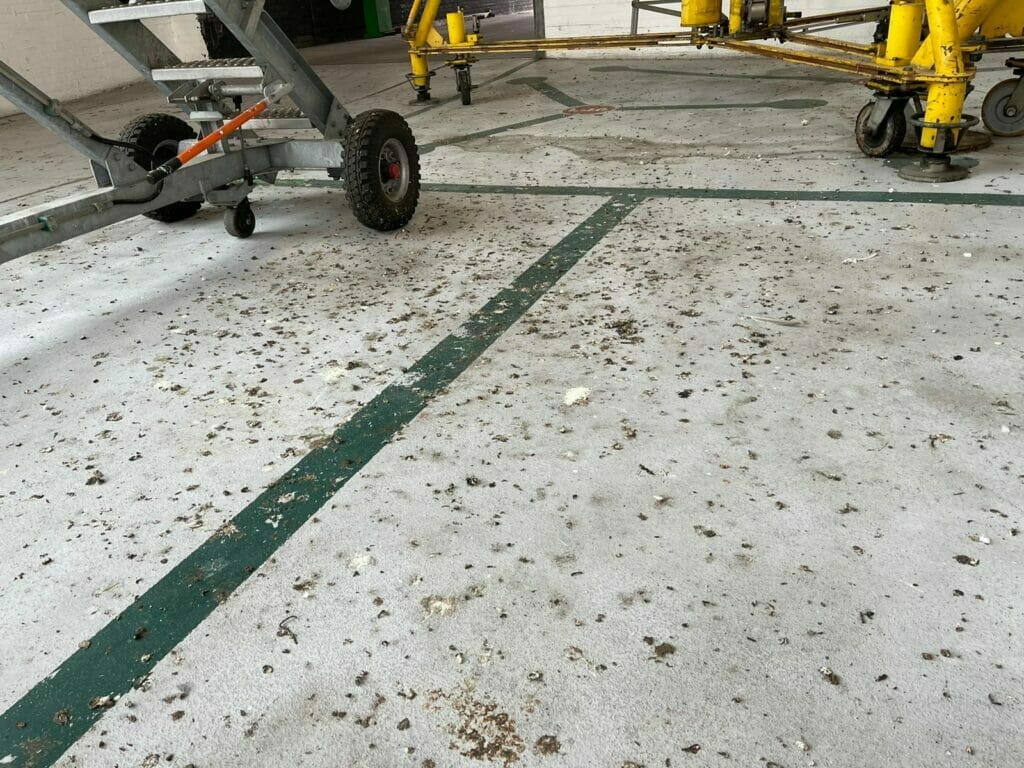 specialist guano cleaning