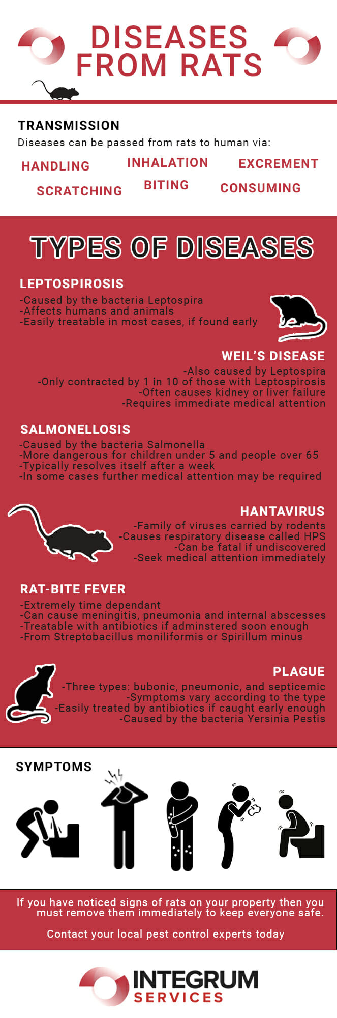 What Diseases Do Rats Carry? 35 Rodent-Borne Diseases