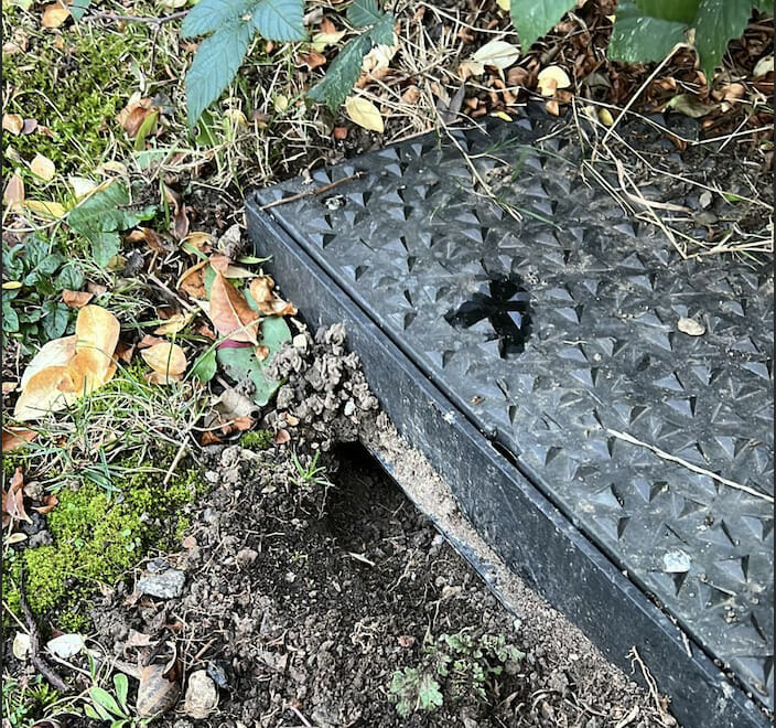 close up of drain showing a hole made by a rat