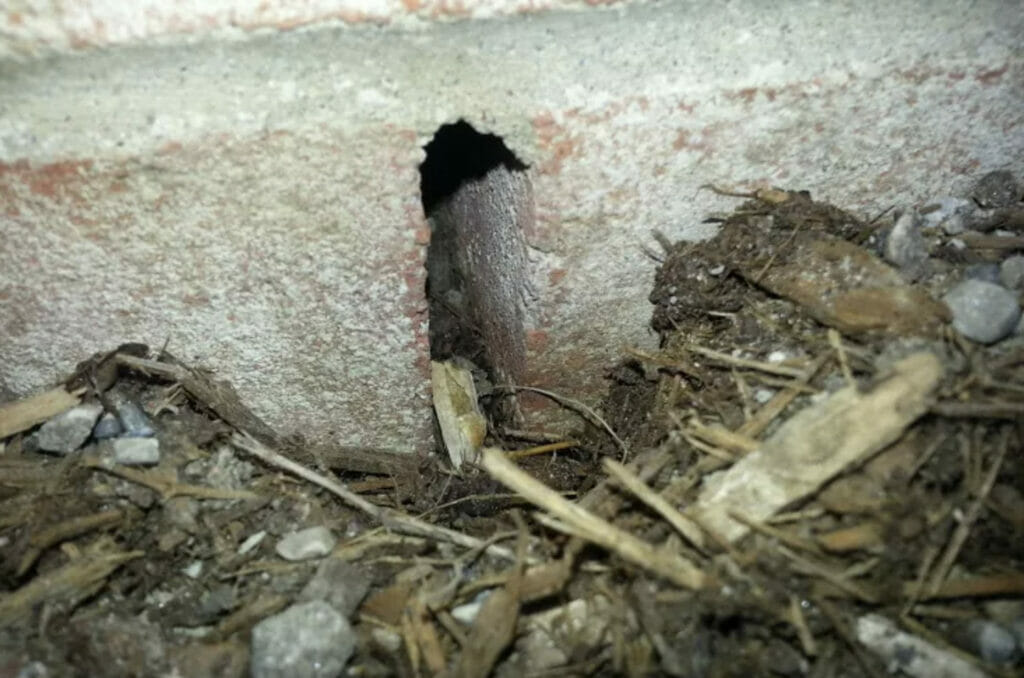 A small hole that a mouse could squeeze through to gain access to your home and walls