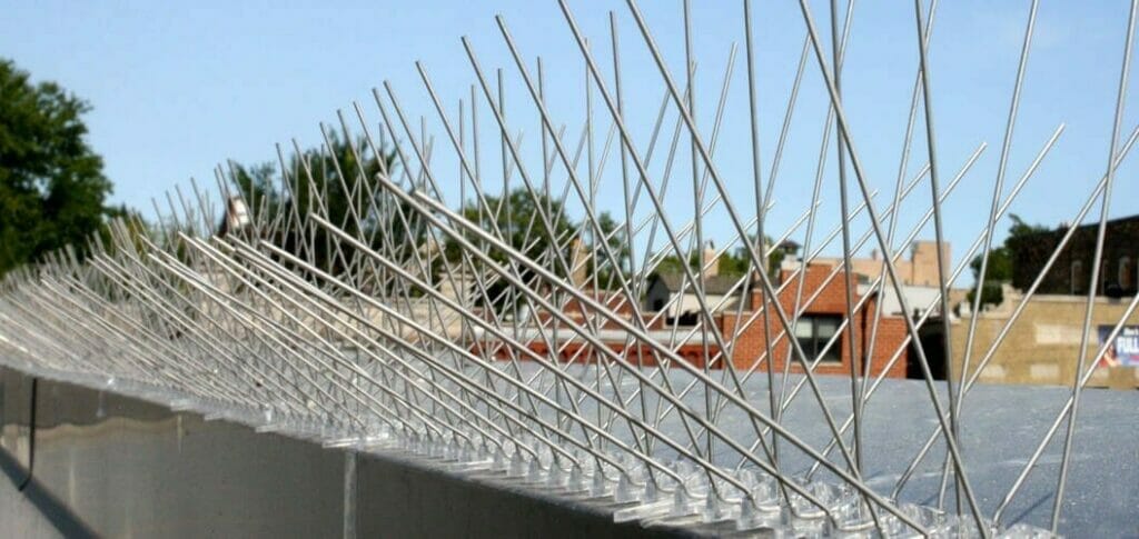 bird spikes fitted to a commercial roofline