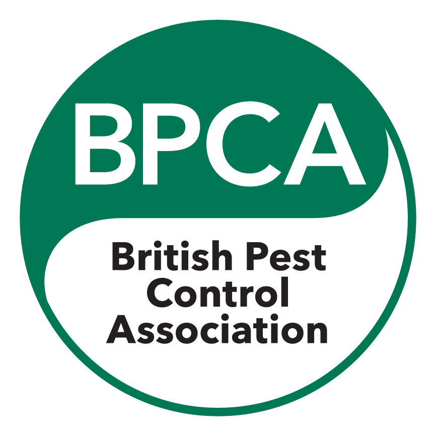 Get BPCA-Approved Flea Treatment In London