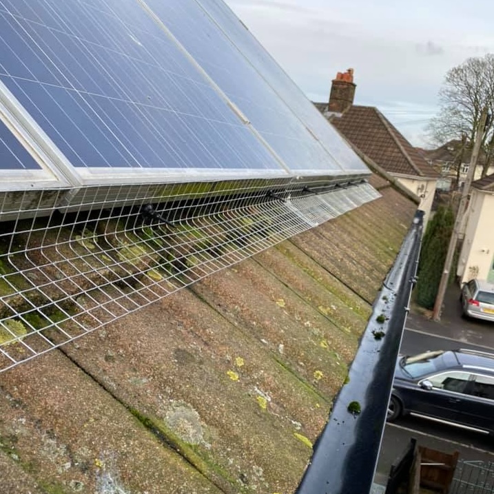 Solar panel bird proofing with bird mesh