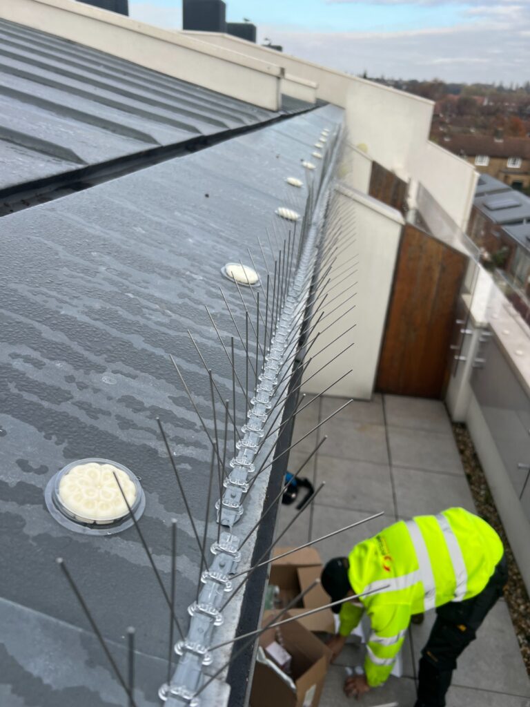 Pigeon Spikes Installed by Integrum