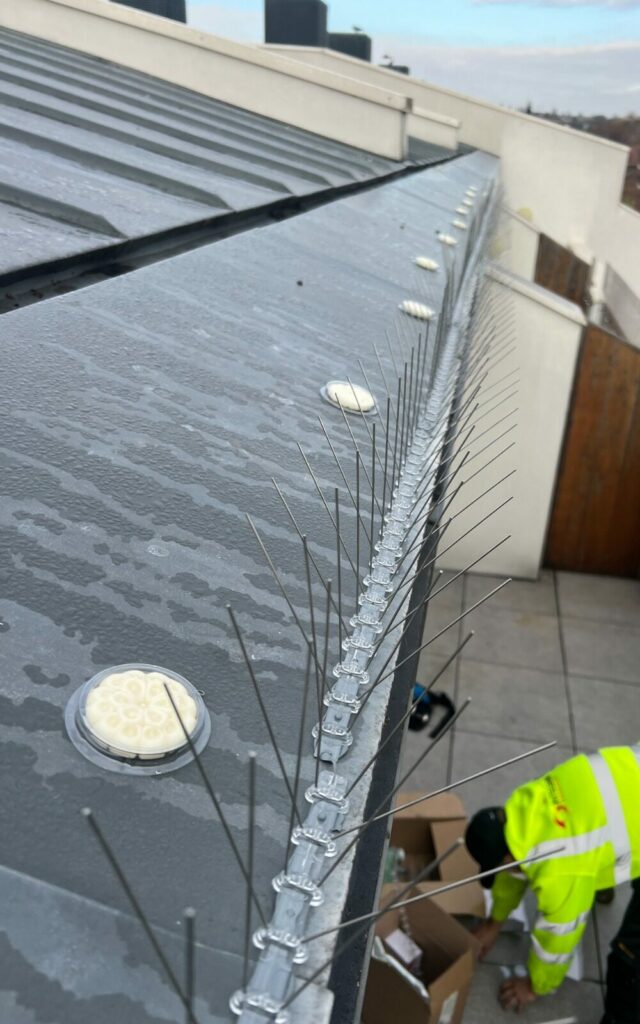 Pigeon Spikes Installed by Integrum