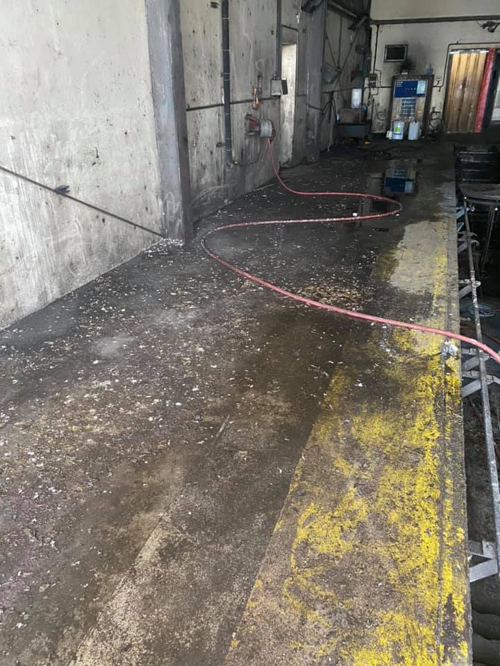 Bird droppings inside a commercial building